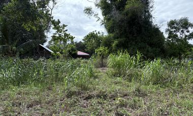 Prime Residential Lot in San Miguel, Bacong, Negros Oriental  ID 14982