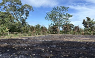 Prime Residential Lot in San Miguel, Bacong, Negros Oriental  ID 14982