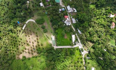 2.3 Hectares Property for Sale at Valencia Negros Oriental