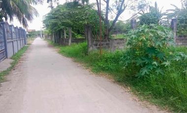 Residential Lot 500 sqm in San Agustin Magalang, Pampanga for Sale