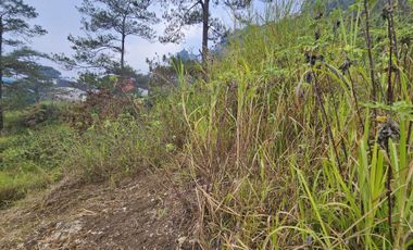 For Sale Residential Lot in Baguio City Inside Subdivision, Bermuda Hills