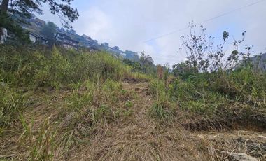 For Sale Residential Lot in Baguio City Inside Subdivision, Bermuda Hills