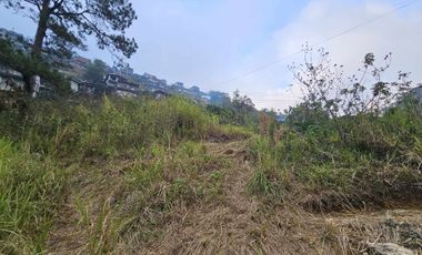 For Sale Residential Lot in Baguio City Inside Subdivision, Bermuda Hills