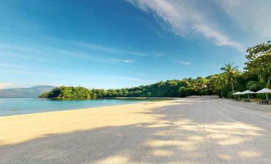 FOR SALE: Block 1 Lot 1 625sqm Orchard Lot - Orchard Vistas Anvaya Cove Bataan