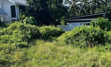 Farm for sale in Negros Oriental, Valencia