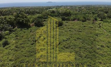 Farm Lot for Sale at Dauin, Negros Oriental