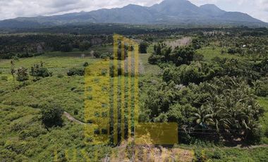 Farm Lot for Sale at Dauin, Negros Oriental