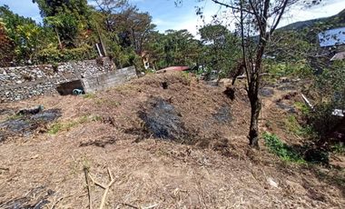 Forest Gold, Bakakeng Near SLU Annex