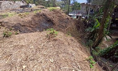 Forest Gold, Bakakeng Near SLU Annex