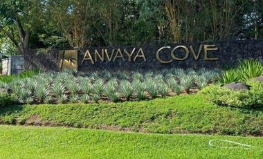 FOR SALE: Block 1 Lot 9 550sqm Orchard Lot - Orchard Vistas Anvaya Cove Bataan
