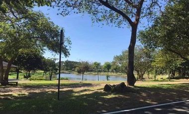 FOR SALE: Block 3 Lot 14 600sqm Greenview Lot - Orchard Vistas Anvaya Cove