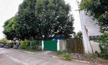 Residential Lot for Sale with Old House in Don Bonifacio Angeles City near Clark