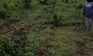 10-ha Residential/Agricultural Lot in Negros Occidental