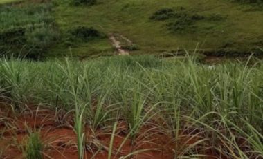 10-ha Residential/Agricultural Lot in Negros Occidental