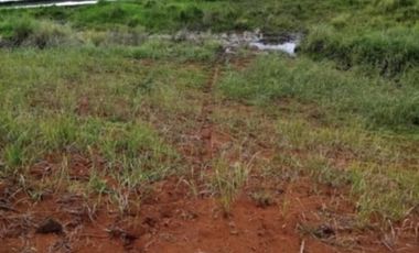 10-ha Residential/Agricultural Lot in Negros Occidental