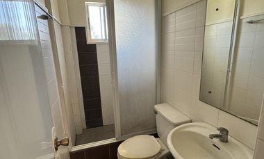 3 Houses Fully Furnished 2 Storey House With Swimming Pool Income Generating