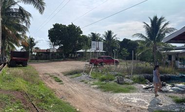 Farm Lot with Studio House For Sale  ID 14995