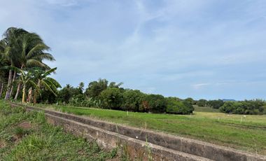 Farm Lot with Studio House For Sale  ID 14995