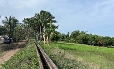 Farm Lot with Studio House For Sale  ID 14995