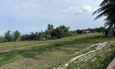 Farm Lot with Studio House For Sale  ID 14995