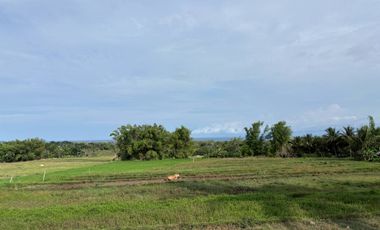 Farm Lot with Studio House For Sale  ID 14995