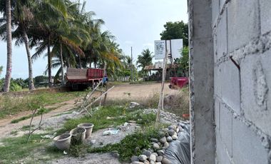 Farm Lot with Studio House For Sale  ID 14995
