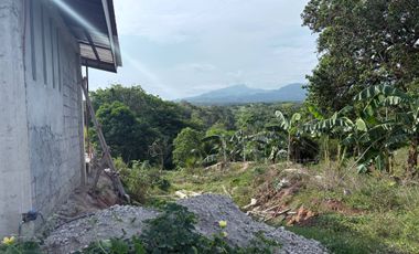 Farm Lot with Studio House For Sale  ID 14995