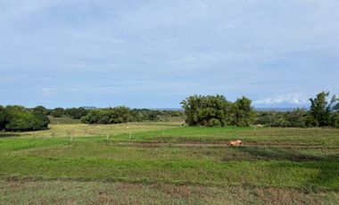 Farm Lot with Studio House For Sale  ID 14995