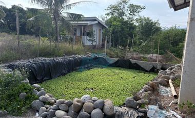 Farm Lot with Studio House For Sale  ID 14995