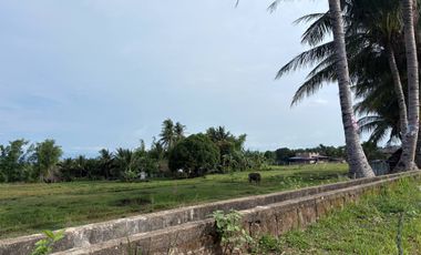Farm Lot with Studio House For Sale  ID 14995