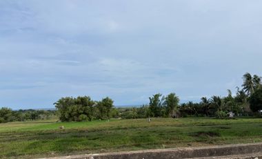 Farm Lot with Studio House For Sale  ID 14995