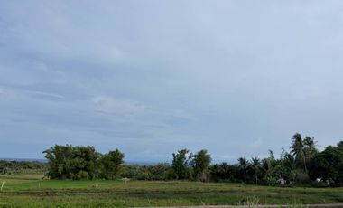 Farm Lot with Studio House For Sale  ID 14995