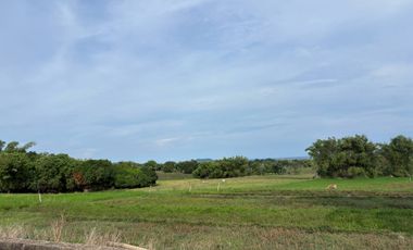 Farm Lot with Studio House For Sale  ID 14995