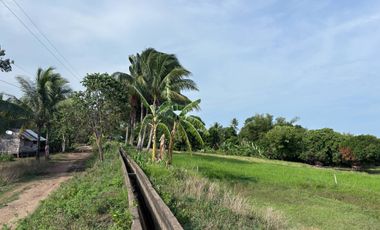 Farm Lot with Studio House For Sale  ID 14995