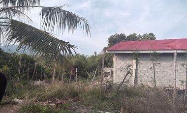 Farm Lot with Studio House For Sale  ID 14995