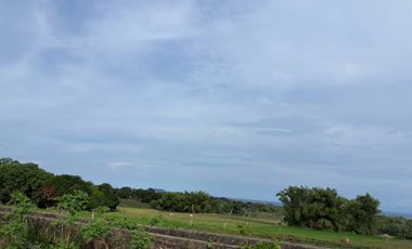 Farm Lot with Studio House For Sale  ID 14995