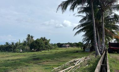 Farm Lot with Studio House For Sale  ID 14995