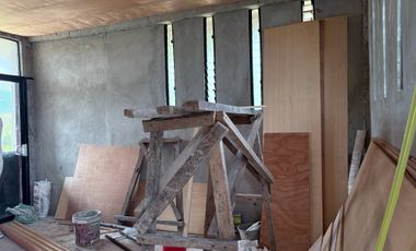 Farm Lot with Studio House For Sale  ID 14995
