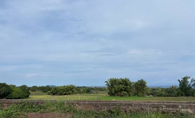 Farm Lot with Studio House For Sale  ID 14995
