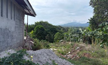 Farm Lot with Studio House For Sale  ID 14995