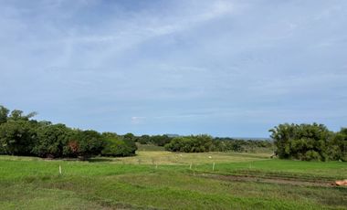 Farm Lot with Studio House For Sale  ID 14995