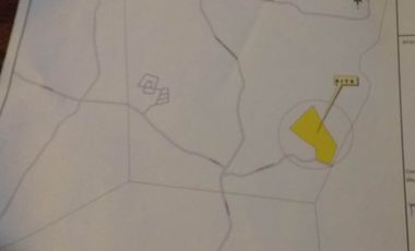 3 Hectars lot for Sale best for subdivision in Tagbilaran City