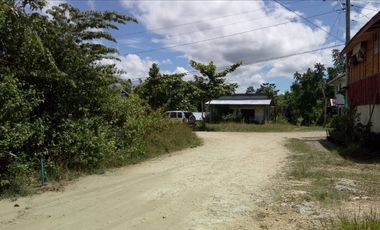 3 Hectars lot for Sale best for subdivision in Tagbilaran City