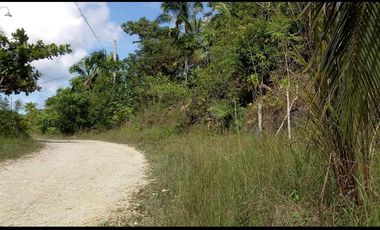 3 Hectars lot for Sale best for subdivision in Tagbilaran City