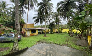 D Yellow House Resort FOR SALE in Agdangan, Quezon