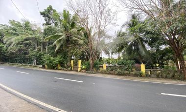 D Yellow House Resort FOR SALE in Agdangan, Quezon