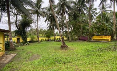 D Yellow House Resort FOR SALE in Agdangan, Quezon