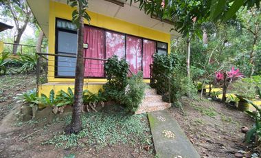 D Yellow House Resort FOR SALE in Agdangan, Quezon