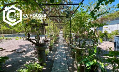 RESTHOUSE AND LOT WITH FARM FOR SALE LOCATED AT FLORIDA BLANCA, PAMPANGA