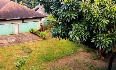 For Sale Vacant Lot at Cottonwood Heights San Luis, Antipolo